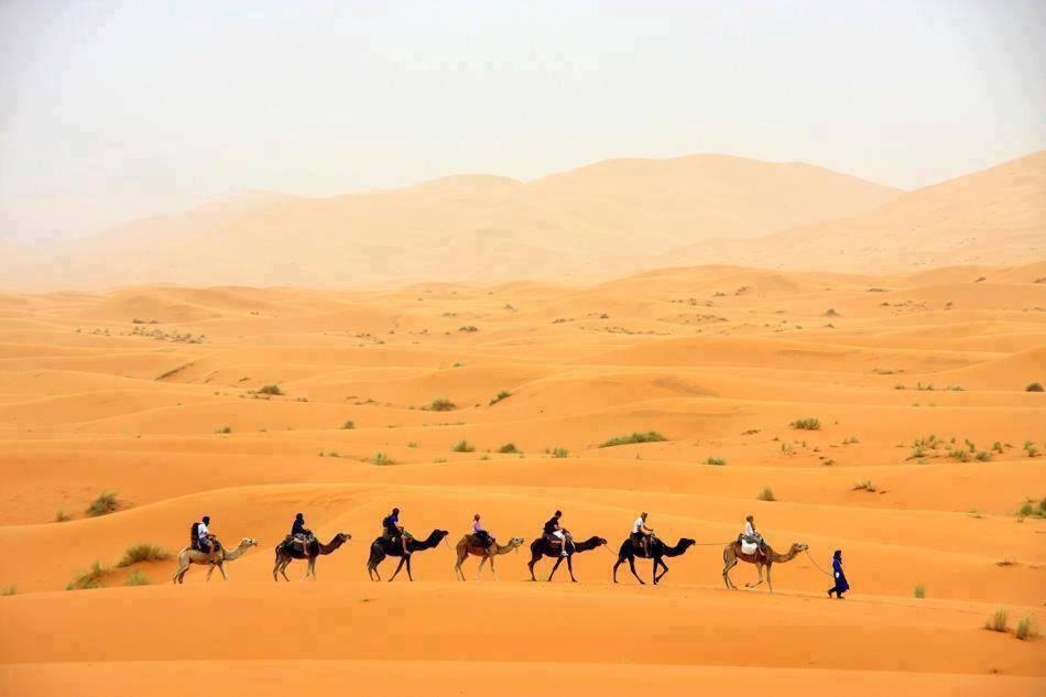 Sand Rose Luxury Camp เมอร์ซูกา ภายนอก รูปภาพ